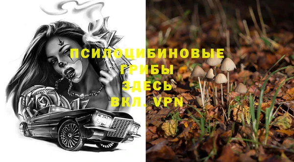 винт Осинники