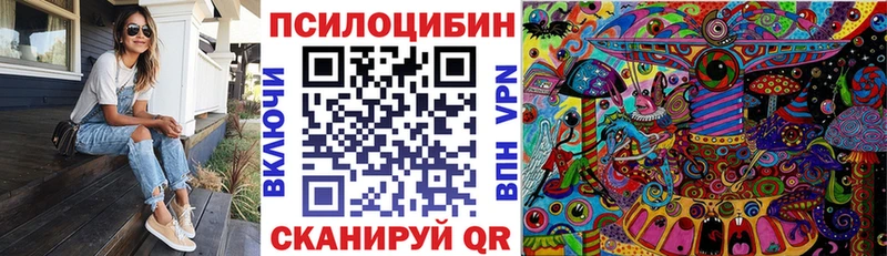 как найти наркотики  Тара  Галлюциногенные грибы Magic Shrooms 