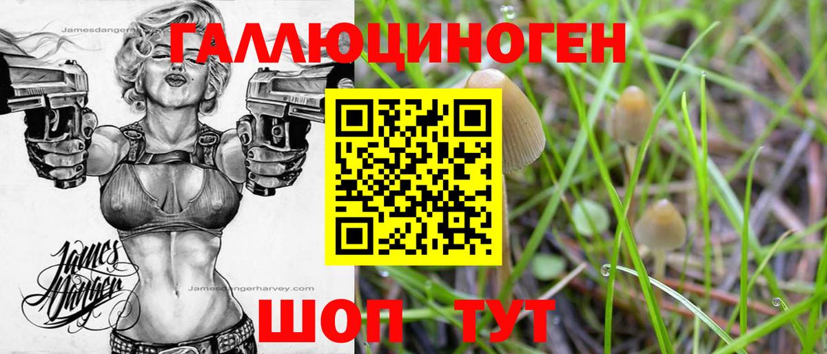 Галлюциногенные грибы Psilocybine cubensis  Вход с VPN  Тара 