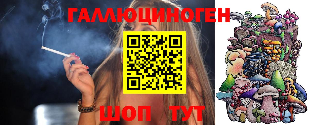 Галлюциногенные грибы Psilocybine cubensis Тара
